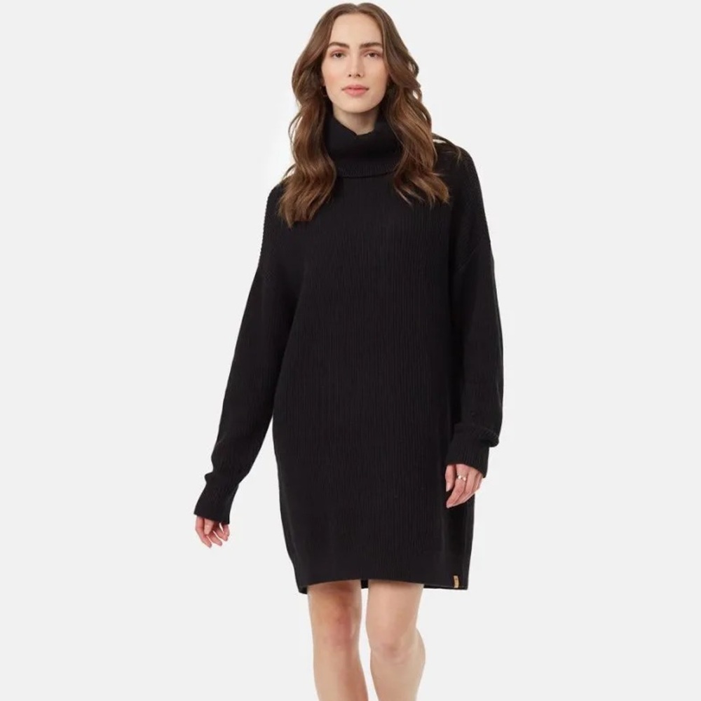 Tentree Highline Oversized Turtleneck Dress